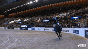 FEI_Global celebration celebrate point winner GIF
