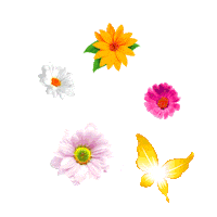 Flowers Bubbles Sticker by Sunlight South Africa