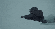 The Lodge Horror GIF by NEON