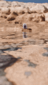 Universe Steven GIF by Youtooz