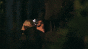 Show GIF by Ay Yapım