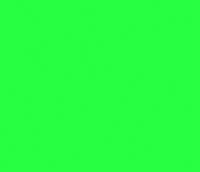 Conmebol Libertadores America GIF by SE Palmeiras