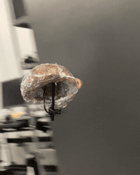 Lab Onf GIF by Alex Boya
