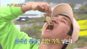 2 Days 1 Night Seafood GIF