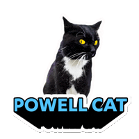 Ucla Bruins Cat Sticker by UCLA