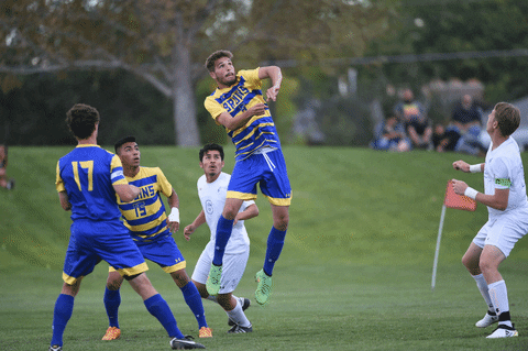 GIF by Salt Lake Community College