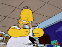 homer simpson GIF