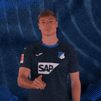 Sport Bundesliga GIF by TSG Hoffenheim