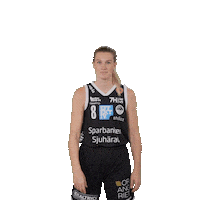 Basketball Sticker by Borås Basket