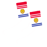 jimmylion happy funny sport fun Sticker