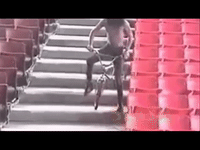 guns n roses slash GIF