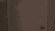 Wizard Of Oz Fun GIF by Rochester Institute of Technology