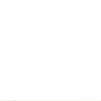 Selton Mello GIF