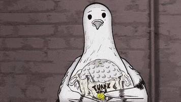 season 1 cats GIF by Animals