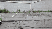 Happy Amazon GIF by Woot!