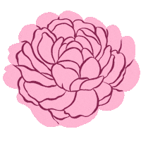 Cherry Blossom Flower Sticker