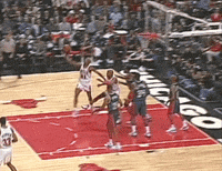 chicago bulls GIF