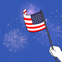 Celebrate United States GIF by BoDoggos