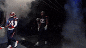 Football Nfl GIF by New England Patriots