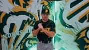 Baseball Bison GIF by NDSU Athletics