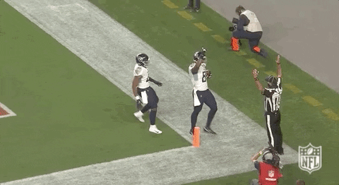 Tennessee Titans Football GIF by NFL