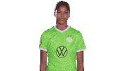 Fail Go Home Sticker by VfL Wolfsburg