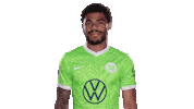 Fail Go Home Sticker by VfL Wolfsburg