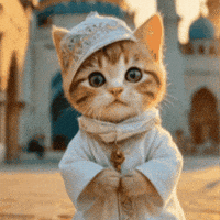 Clubhouse GIF by Gallery.fm