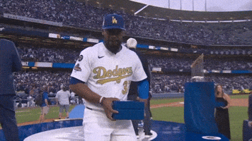 Los Angeles Dodgers Sport GIF by MLB