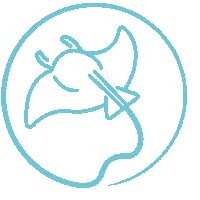 MySeaExperience speedboat rentboat rent boat myseaexperience Sticker