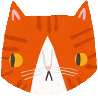 Cat Kitty Sticker by Dorota Duzinkiewicz