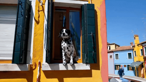 gokayuyan13 giphyupload GIF