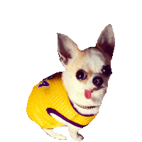 dog gue Sticker
