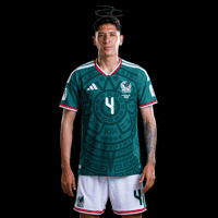 Fifa World Cup Mexico GIF by Respective