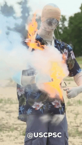 Fireworks GIF by Consumer Product Safety Commission