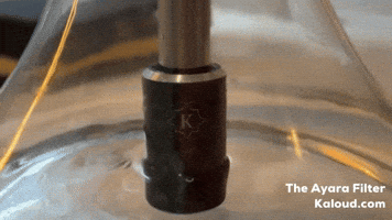 Bubbles Shisha GIF by Xfrm.io