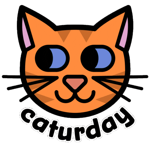 Saturday Morning Cat Sticker by Animanias