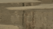 blackbrain shop bbc tap blur GIF