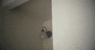 Music Video Indie GIF by boygenius