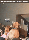 Scary Movie The Horror GIF by Justin