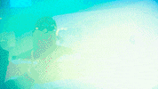 taramcdonaldtv party money pop fiesta GIF