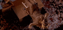 Beyonce The Grammys GIF by Recording Academy / GRAMMYs