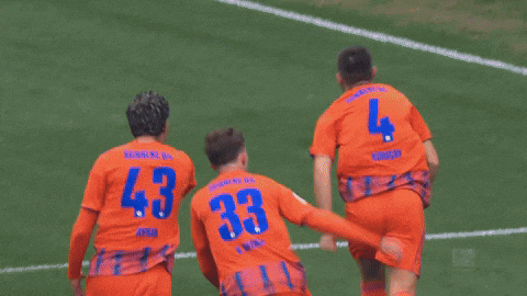 Football Celebrate GIF by FC Schalke 04