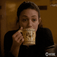 Season 2 Whatever GIF by Shameless