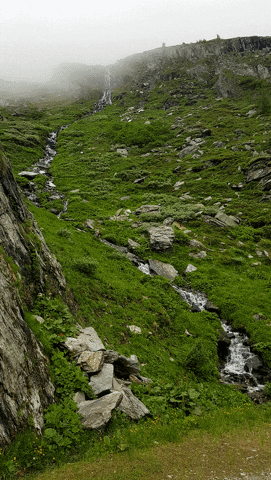 Kiazmus giphyupload GIF