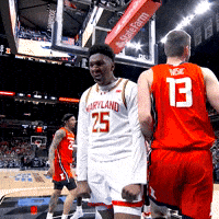 Yell Big Ten GIF by Maryland Terrapins