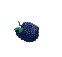 Excited Iced Tea Sticker by Brisk