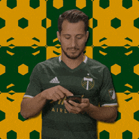Portland Timbers GIF by Major League Soccer