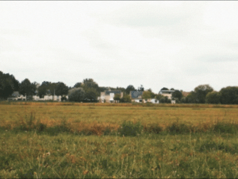 Brain3r giphyupload GIF