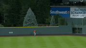 Celebrate Baltimore Orioles GIF by MLB